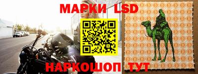 стаф Заводоуковск