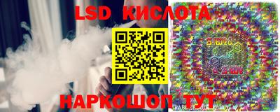 стаф Заводоуковск